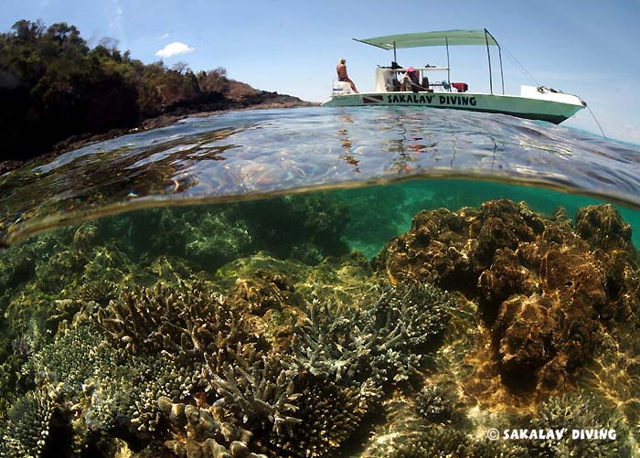 photo and video diving courses Nosy Be